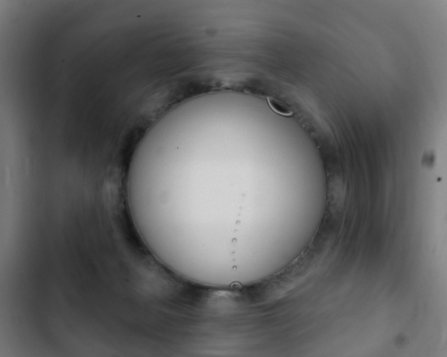 X0000103400222200809120931