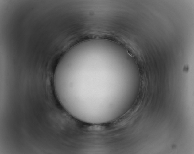 X0000103400225200809120931