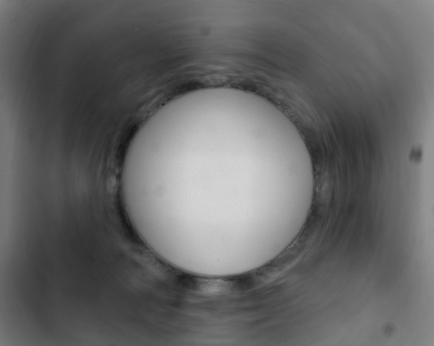 X0000103400226200809120931