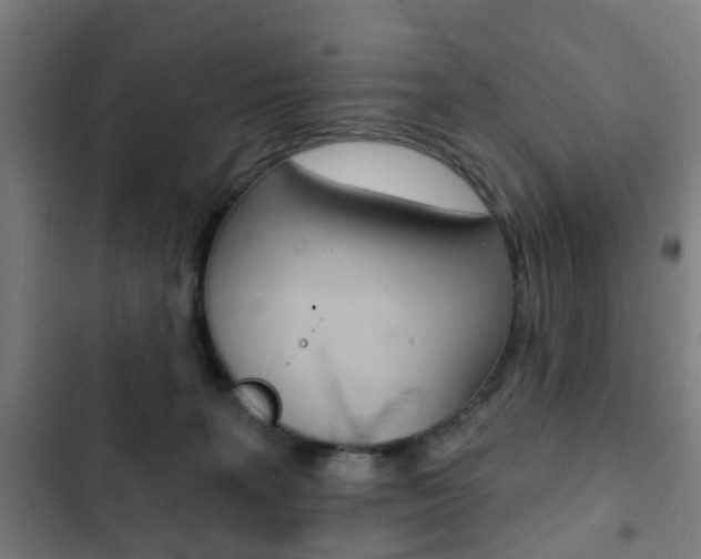 X0000103400227200809120931