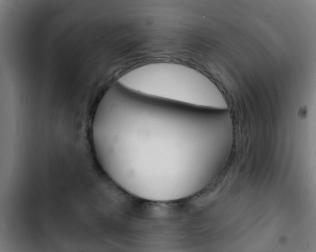 X0000103400229200809120931