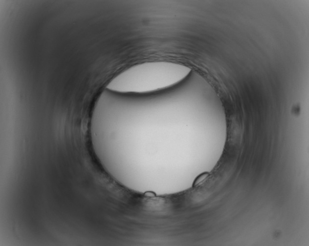 X0000103400230200809120931
