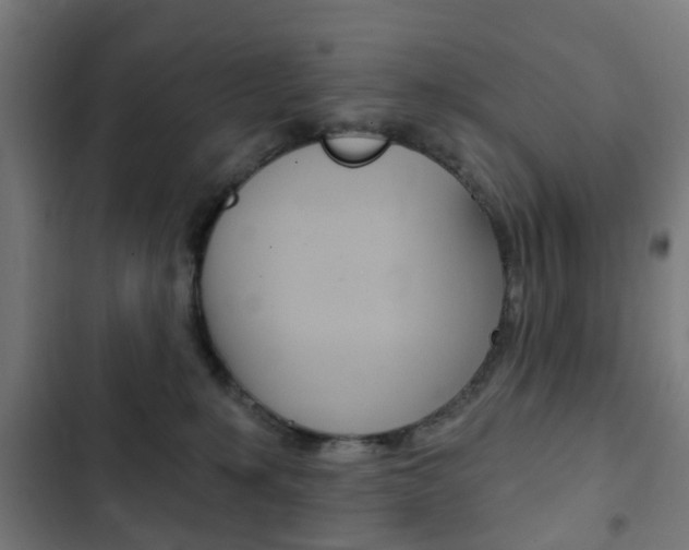 X0000103400231200809120931