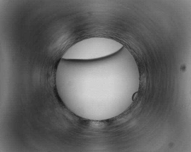 X0000103400234200809120931