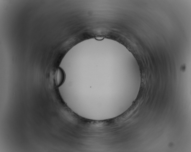 X0000103400235200809120931