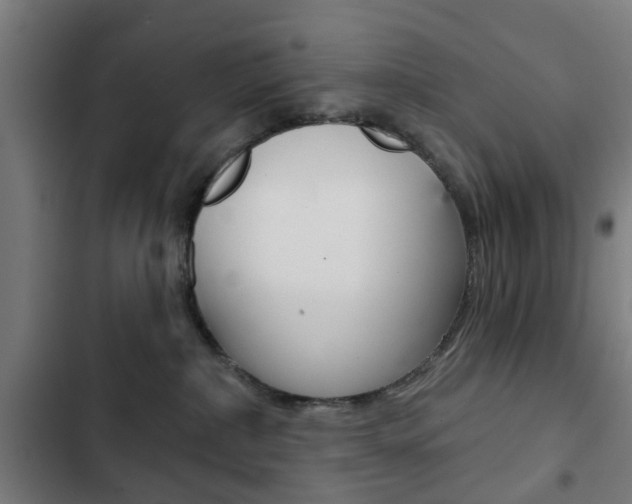 X0000103400236200809120931