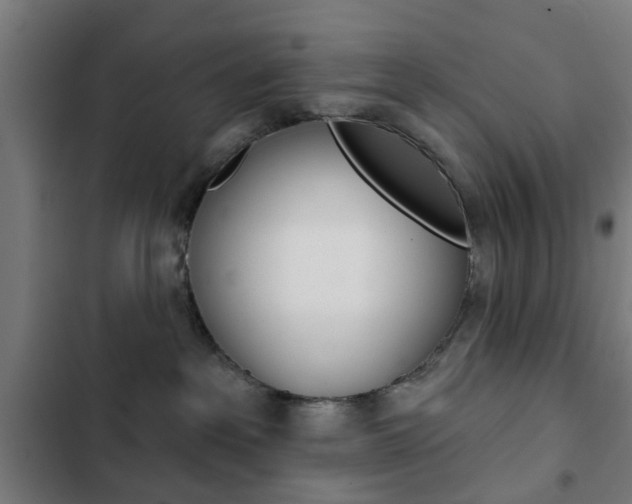 X0000103400237200809120931
