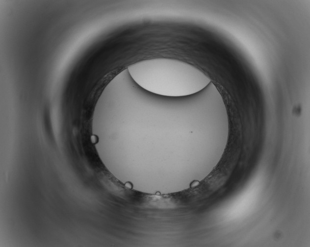 X0000103400239200809120931