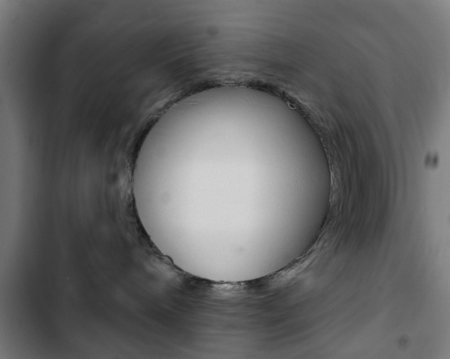 X0000103400240200809120931