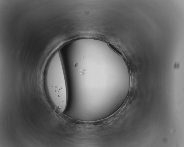 X0000103400243200809120930