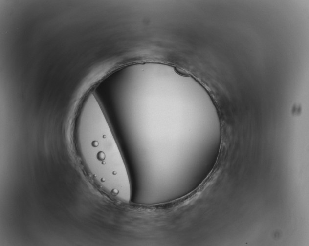 X0000103400245200809120930