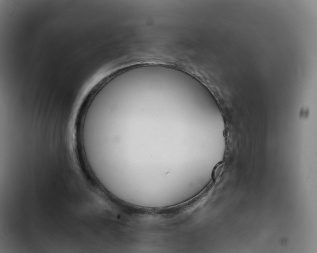 X0000103400246200809120930