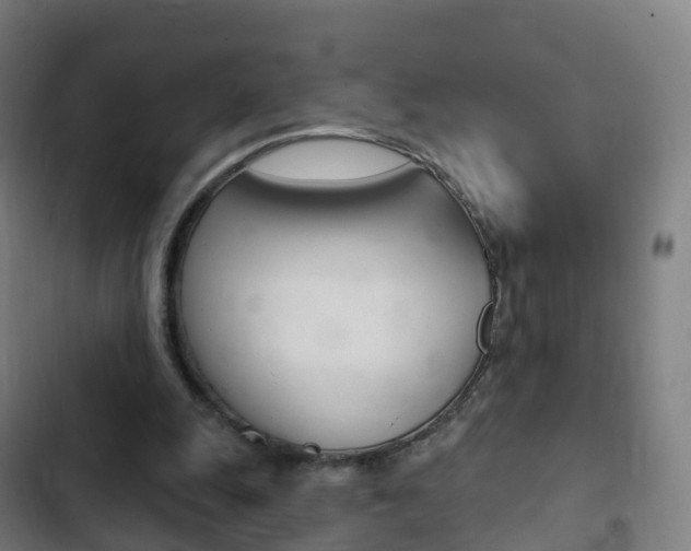 X0000103400247200809120931