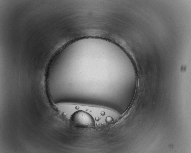 X0000103400249200809120931