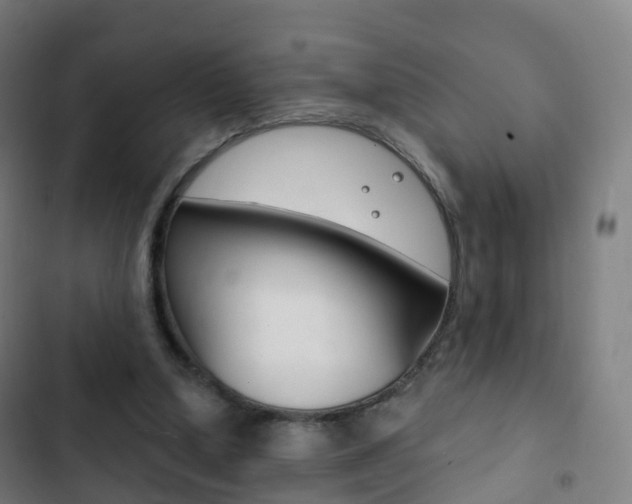 X0000103400250200809120931