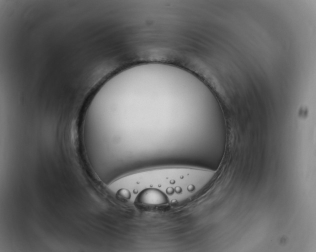X0000103400251200809120931