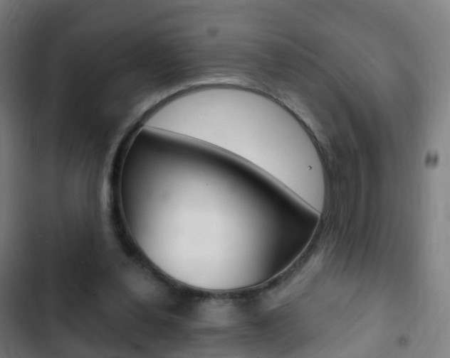 X0000103400252200809120931