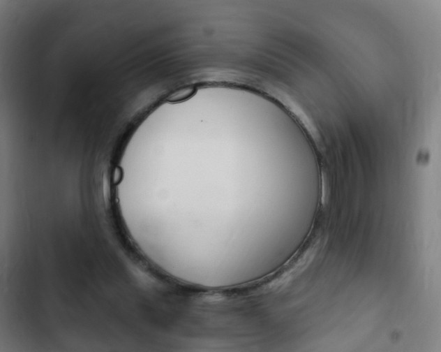 X0000103400253200809120931