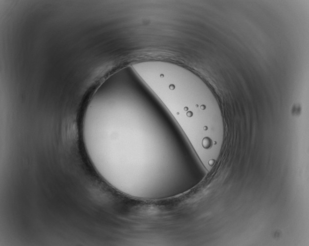 X0000103400254200809120931