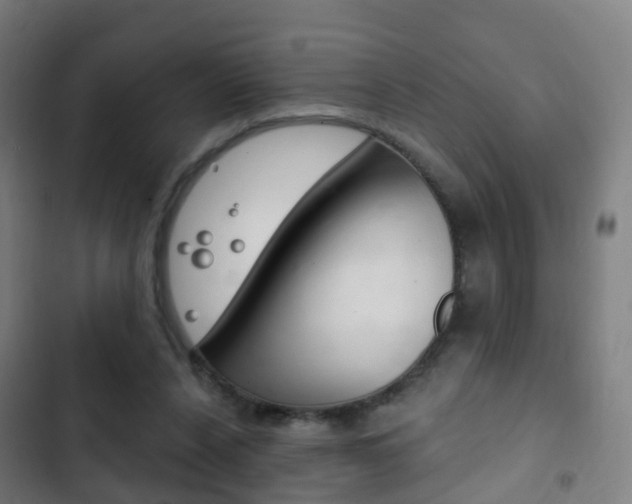 X0000103400256200809120931