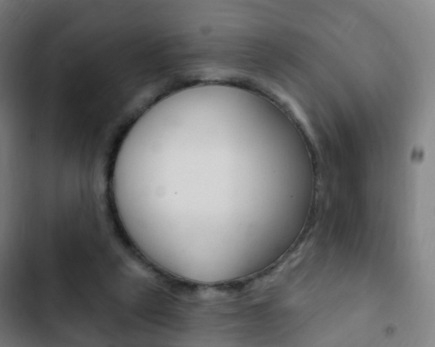 X0000103400257200809120931