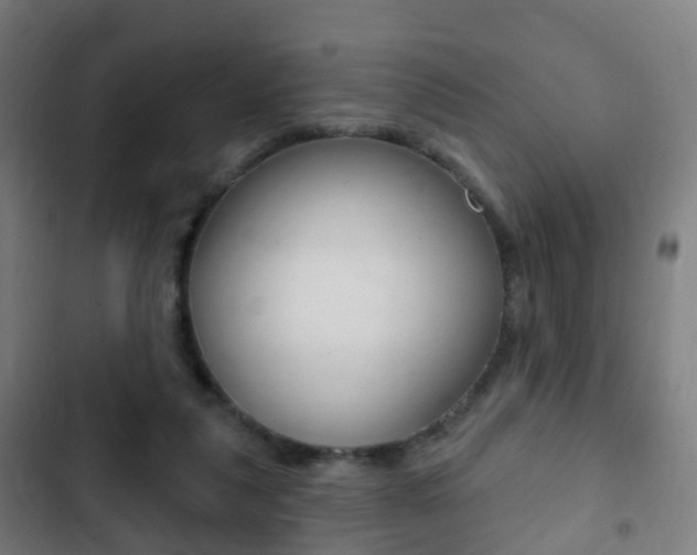 X0000103400259200809120931