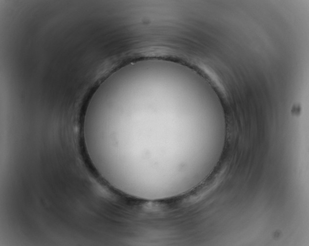 X0000103400261200809120931