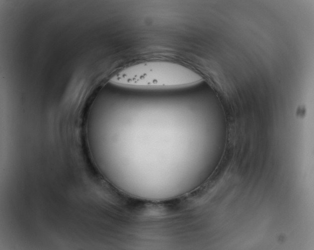 X0000103400263200809120931