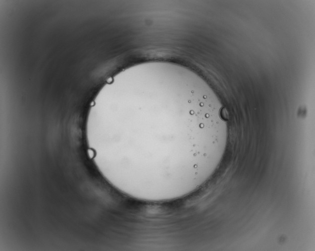 X0000103400264200809120931