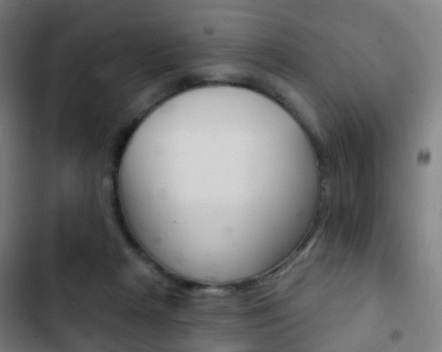 X0000103400265200809120931
