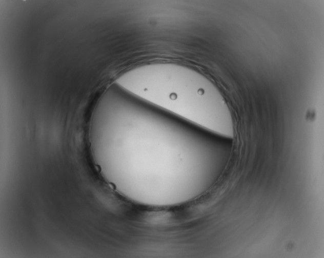 X0000103400266200809120931