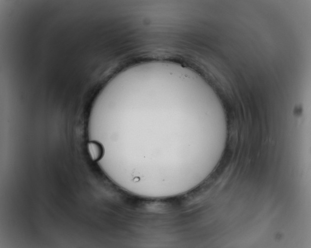 X0000103400268200809120931