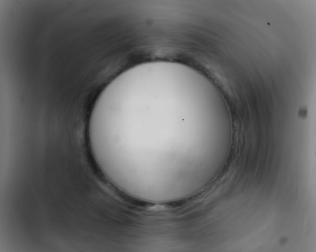 X0000103400269200809120931