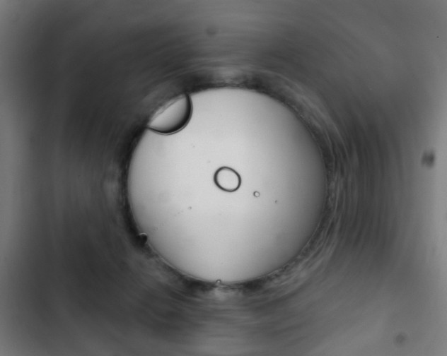 X0000103400270200809120931