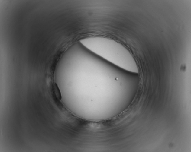 X0000103400272200809120931