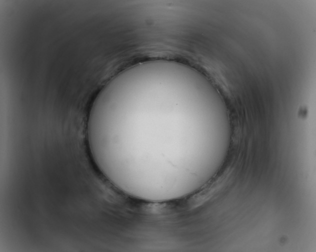X0000103400273200809120931