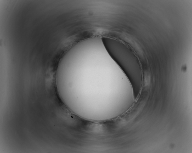 X0000103400276200809120931