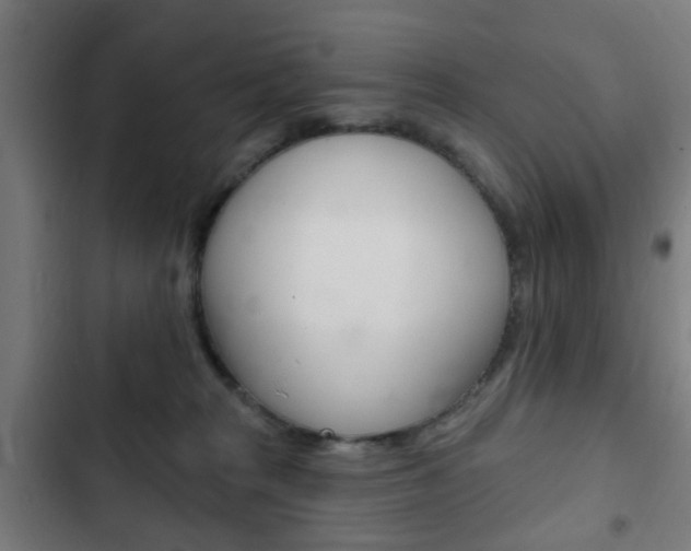 X0000103400277200809120931