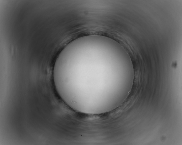 X0000103400278200809120931