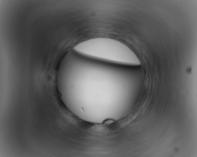 X0000103400280200809120931