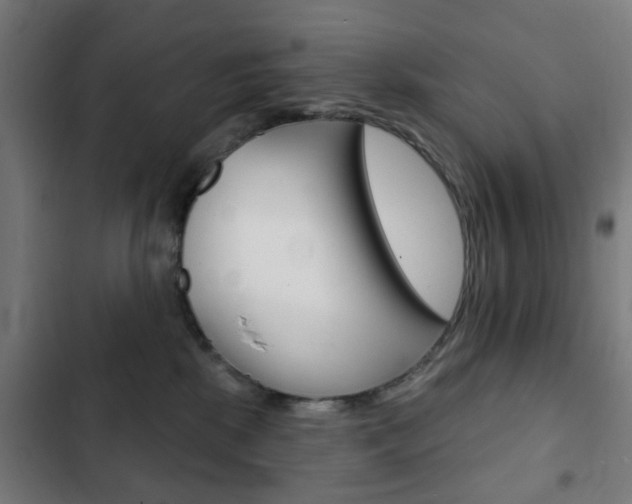 X0000103400281200809120931
