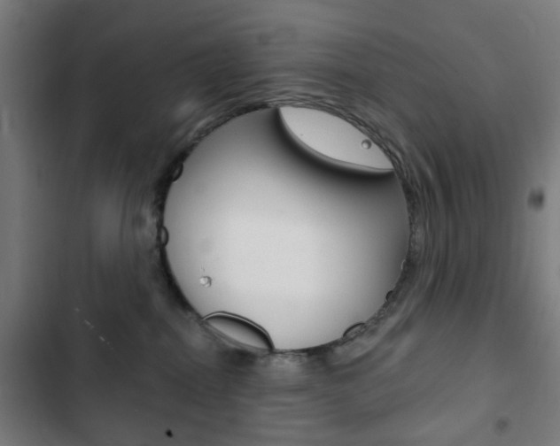 X0000103400282200809120931