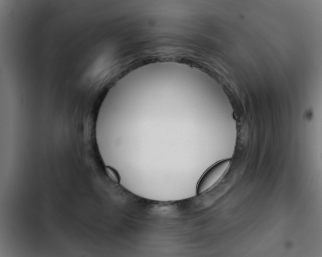 X0000103400283200809120931