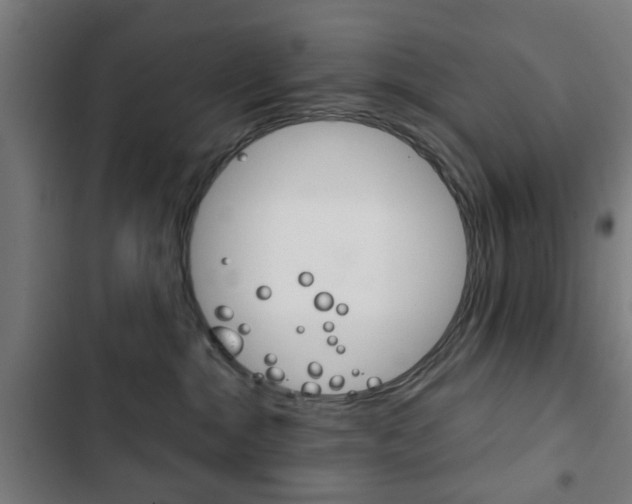 X0000103400284200809120931