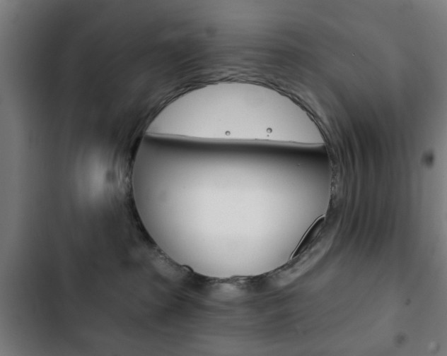 X0000103400285200809120931