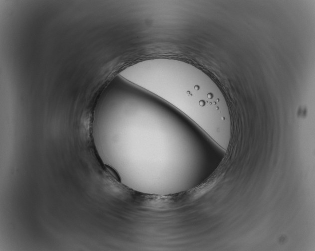 X0000103400288200809120931