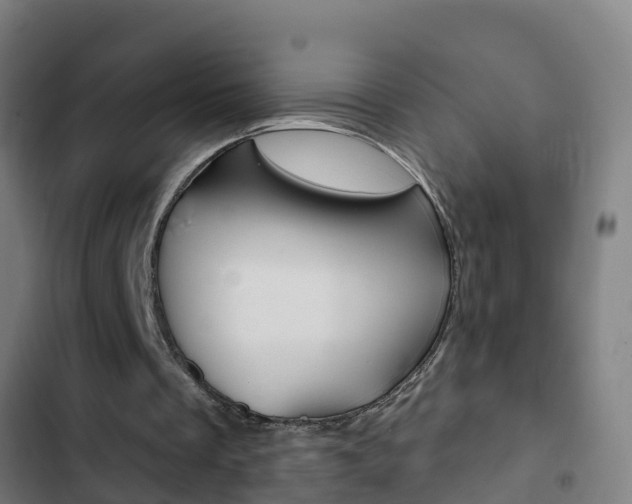 X0000103400289200809120930