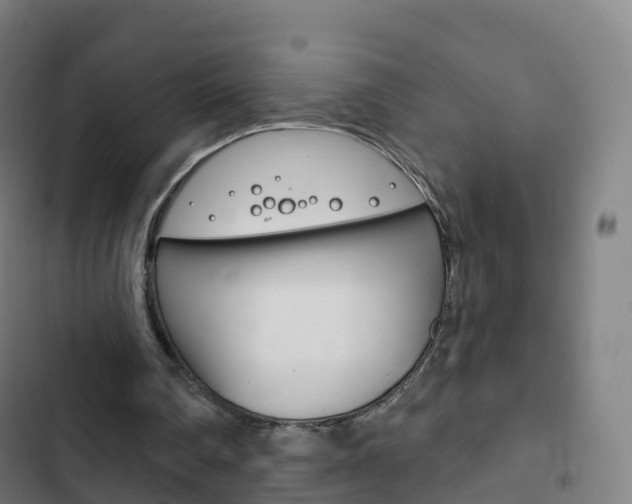X0000103400290200809120930