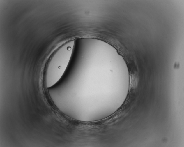 X0000103400291200809120930