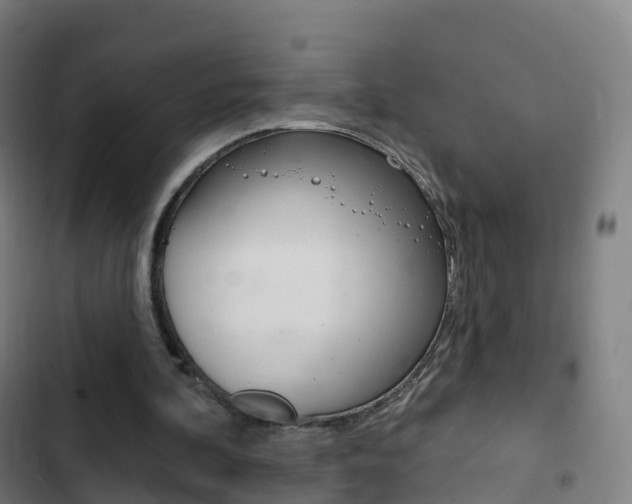X0000103400292200809120930
